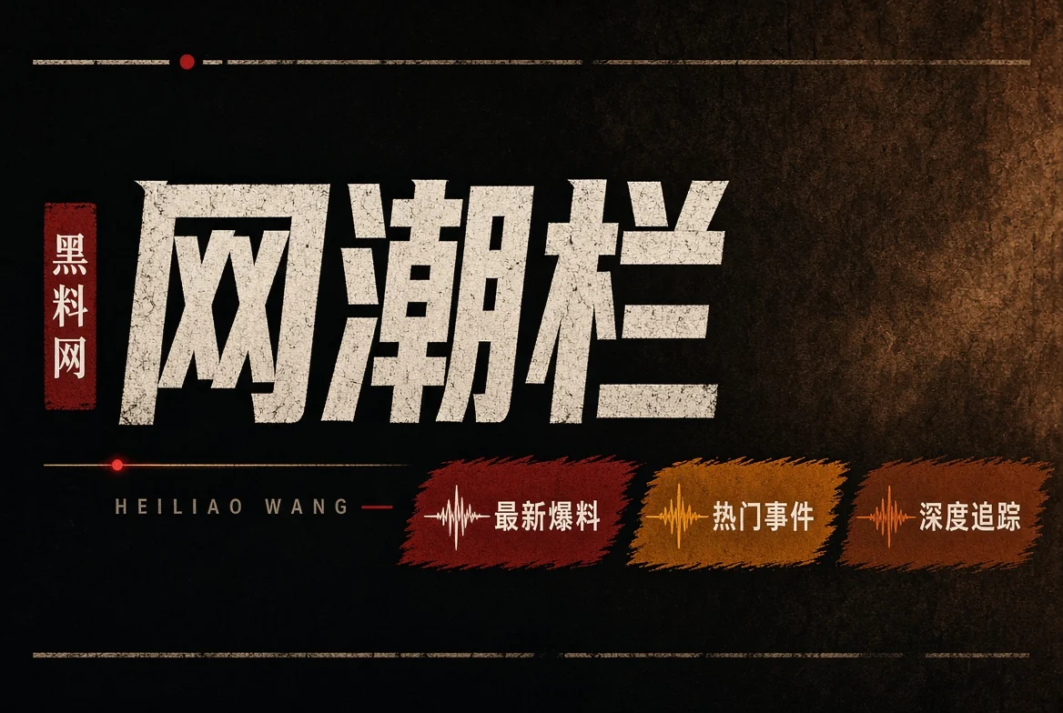 网络风向栏目图